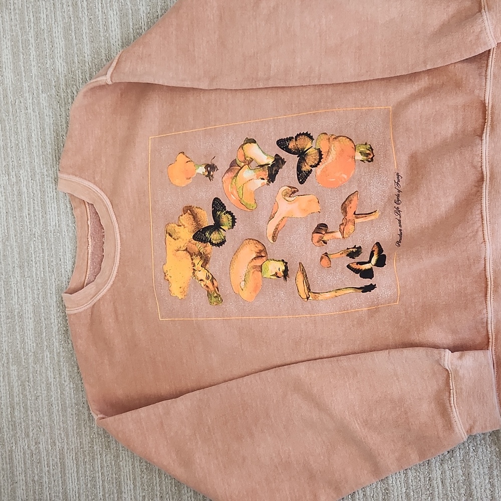 Pacsun sweatshirt